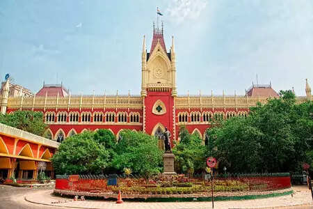 <p>On December 17, the Calcutta High Court's single-bench of Justice Biswajit Basu ordered the cancellation of 313 teaching jobs in GTA-run schools, saying that all these recruitments were made illegally</p>