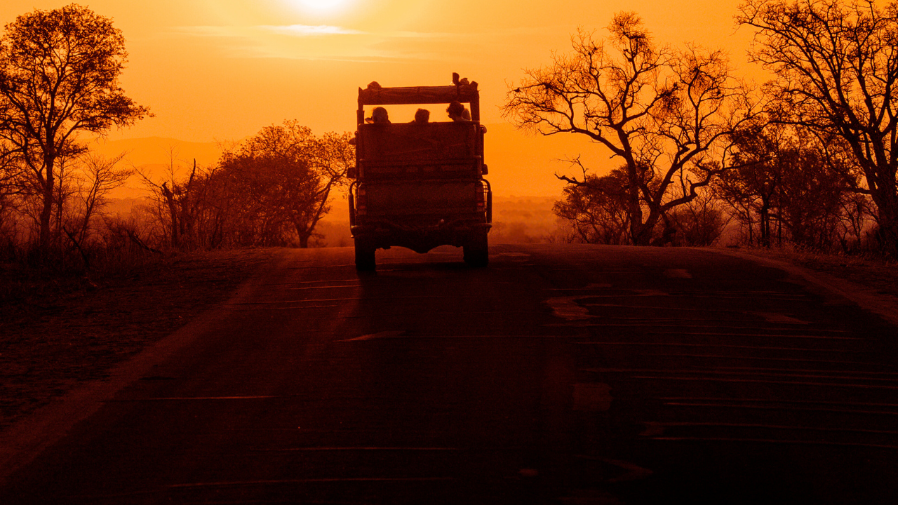 

<p>Most parks shut by sunset. Not Satpura. Head into the buffer zone for a night safari, and welcome to the forest’s after-dark edition. Civets, porcupines, owls, and the glowing eyes of nocturnal wonders, it’s a whole other world out there. The eerie stillness, punctuated by sudden rustles, is enough to make your city soul feel deliciously primitive.</p>
<p>“/><figcaption class=