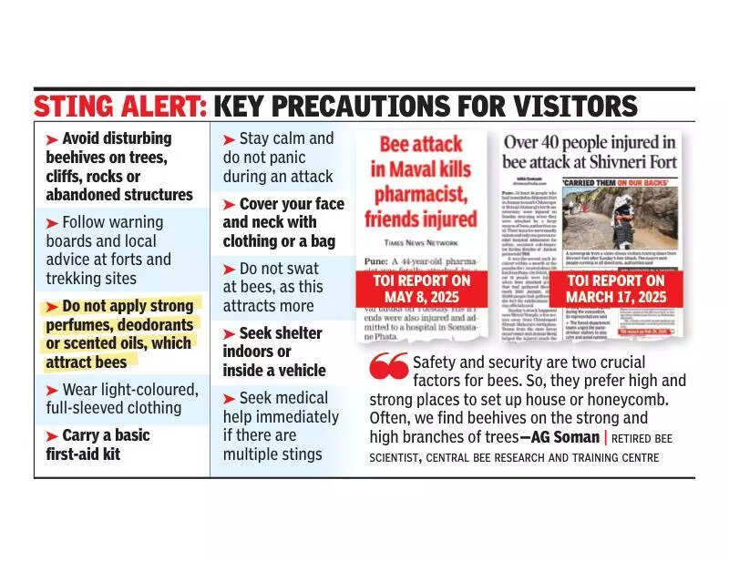 <p>An organiser, who runs a mountaineering institute in Pune, told TOI: "The beehives were located on a rocky cliff at the site</p>