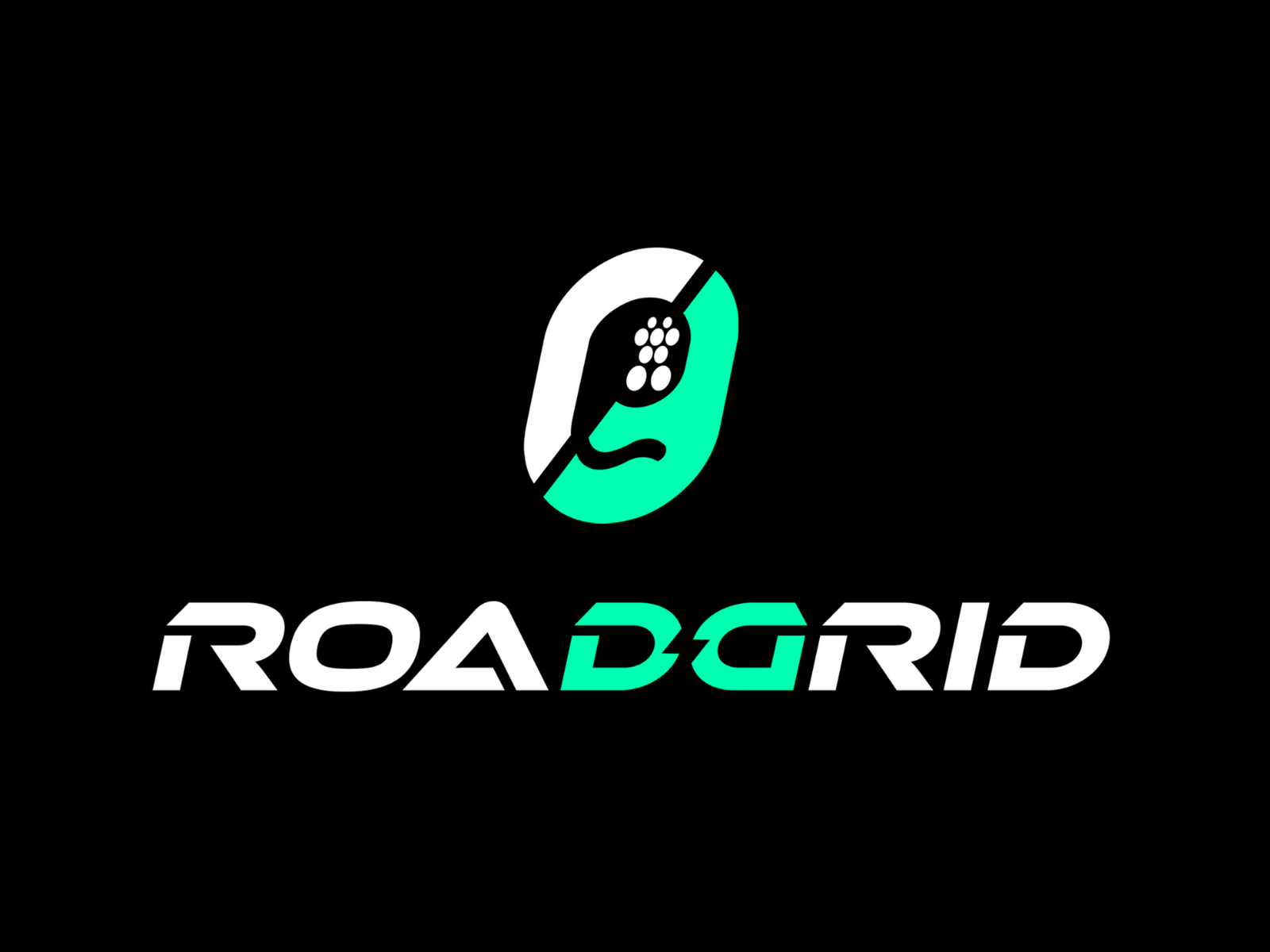 <p>RoadGrid operates across two segments: supplying chargers to original equipment manufacturers and running public and commercial charging stations.</p><p>“><figcaption class=