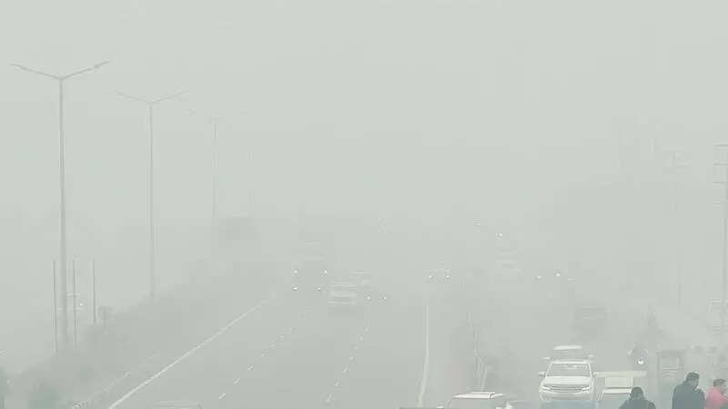 <p>Now all schools in the state will open as usual from January 14, Bains said in a post on X in Punjabi.</p>