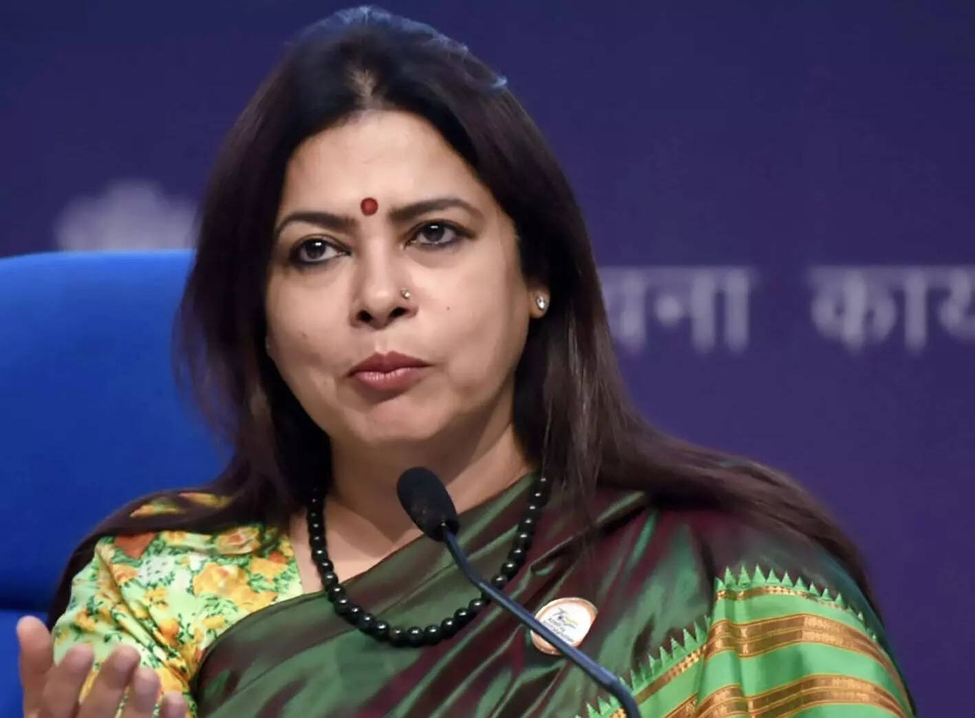 <p>Meenakshi Lekhi, Former Minister of State for External Affairs and Culture</p>