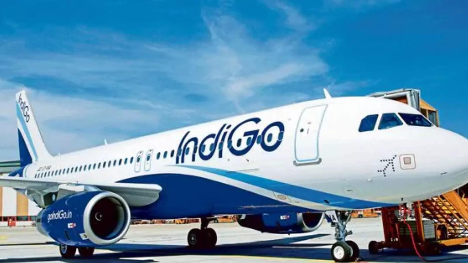 Indigo under CCI scrutiny
