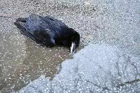 127984857 | Imperial Wire