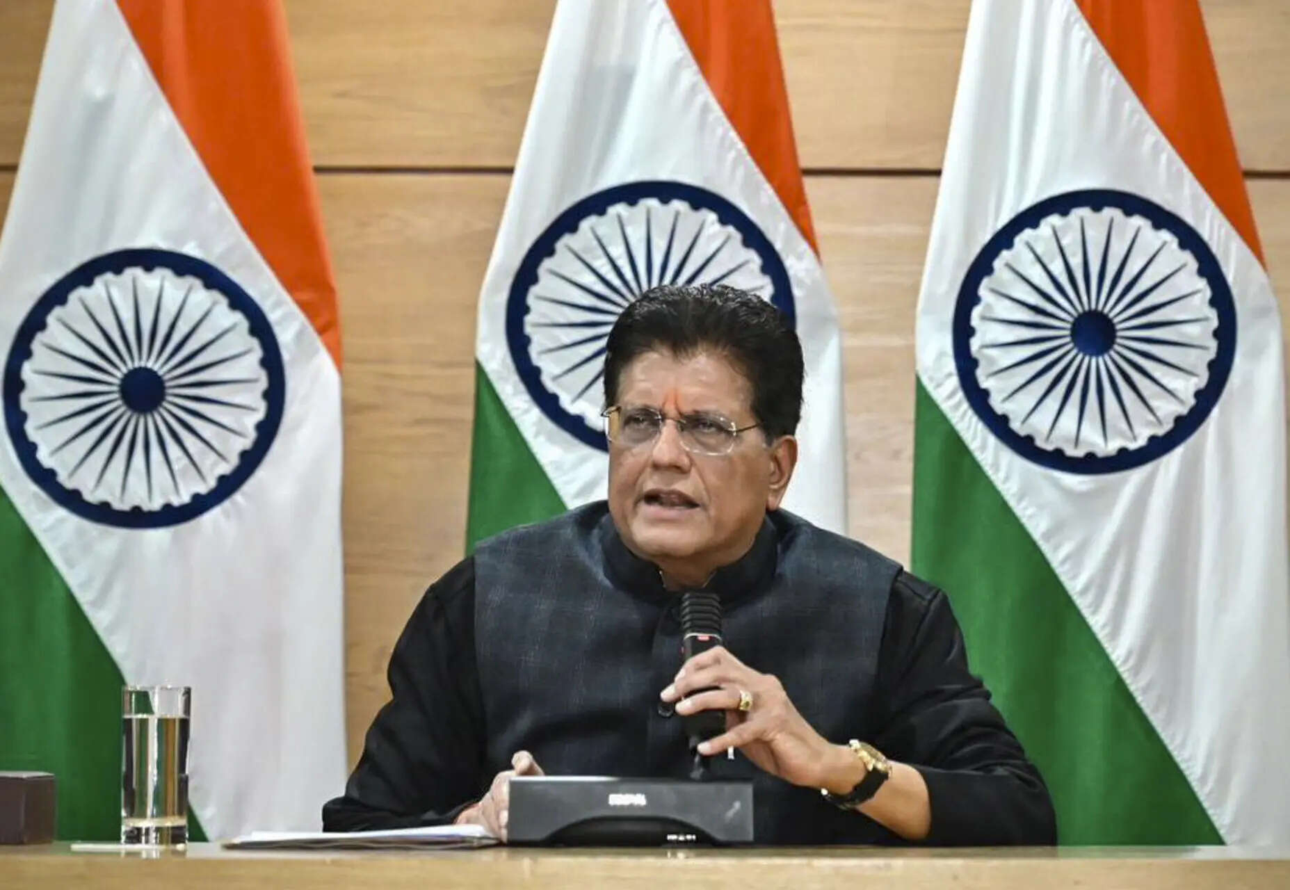 <p>Union Minister Piyush Goyal</p>