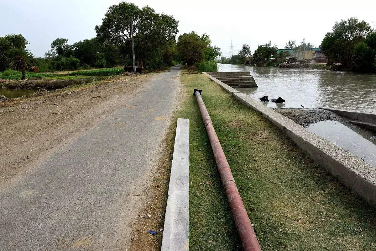 Representative image