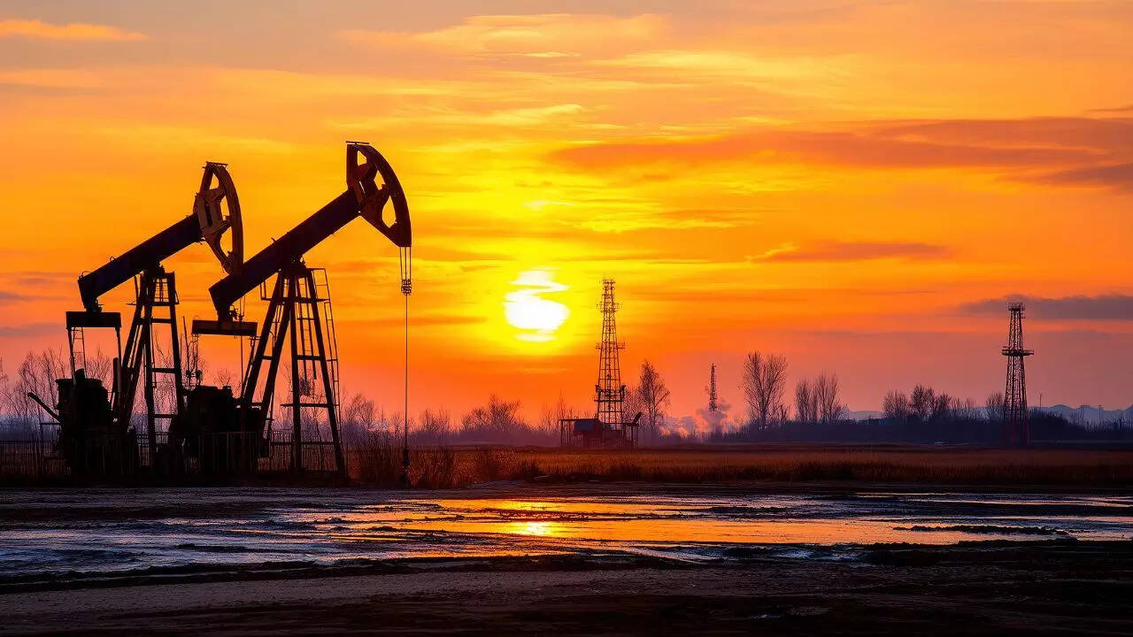 <p>India has temporarily greenlit four Russian insurance firms to maintain marine coverage for incoming ships at its ports. </p>