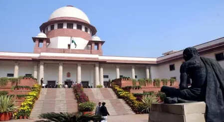 <p>IBC represents legislative choice to privilege speed over exhaustive judicial scrutiny: SC</p>