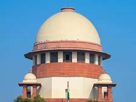 <p>While disposing of the matter, the CJI-led Bench also issued a word of caution to the petitioner, observing that he should act prudently in the future</p>