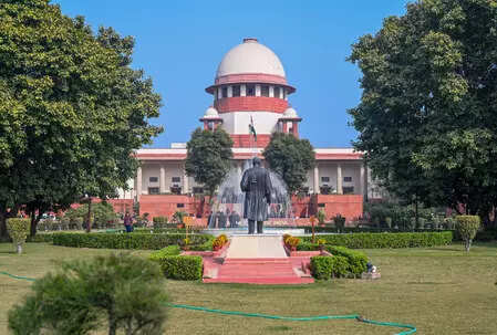 <p>SC urges Centre to recognise paternity leave</p>