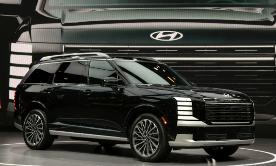 

<p>Hyundai said last week that it would stop sales of some new Palisade SUVs in the US and Canada.</p>
<p>“/><figcaption class=