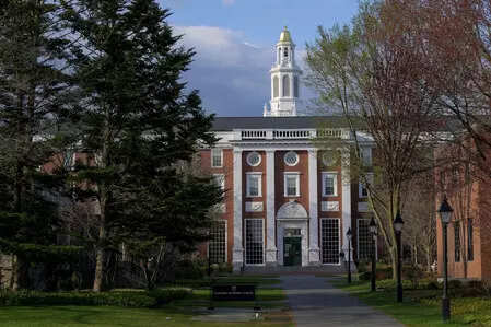 <p>Harvard University </p>