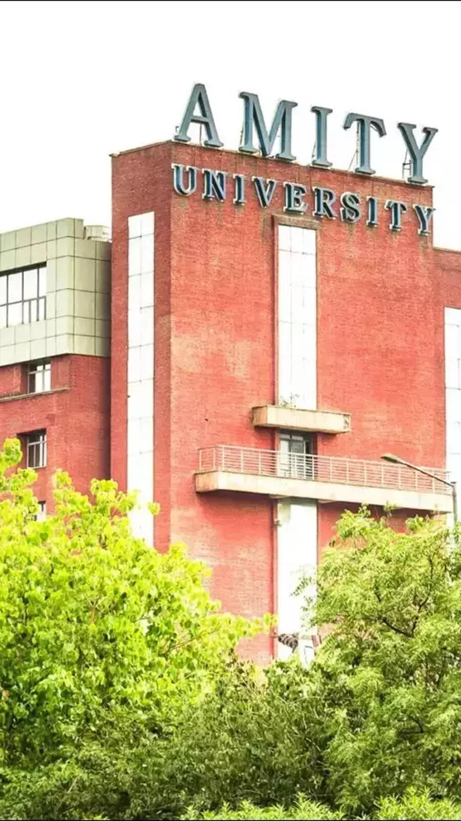 <p>Eisha is a psychologist by profession and has been doing practice for the last few years. Eisha's guide Dr Ajit Kumar Singh is an assistant professor at AIBAS, psychology department.<br></p>