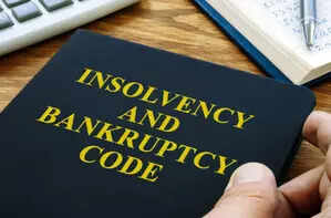 <p>Insolvency and Bankruptcy Code </p>