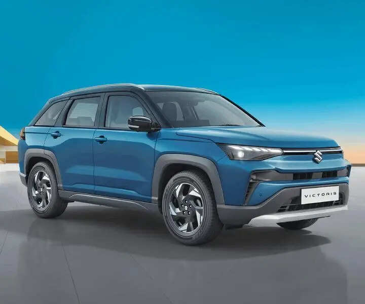 

<p>The company said performance during the year was supported by growth in the domestic market in the second half following a GST reduction.</p>
<p>“/><figcaption class=