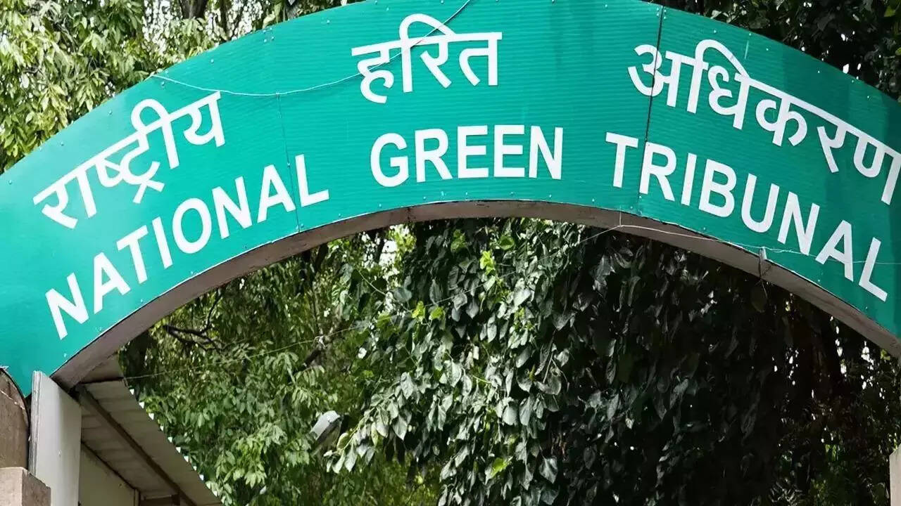 <p>National Green Tribunal.<br></p>