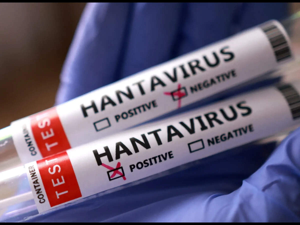 Test tubes labelled Hantavirus positive and negative are held in this illustration