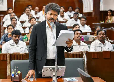 <p>The Vijay-led TVK secured a decisive mandate in the Tamil Nadu Assembly elections, leading to the actor-turned-politician assuming office as Chief Minister. Along with Vijay, nine ministers had taken oath and were recently allocated portfolios.<br></p>