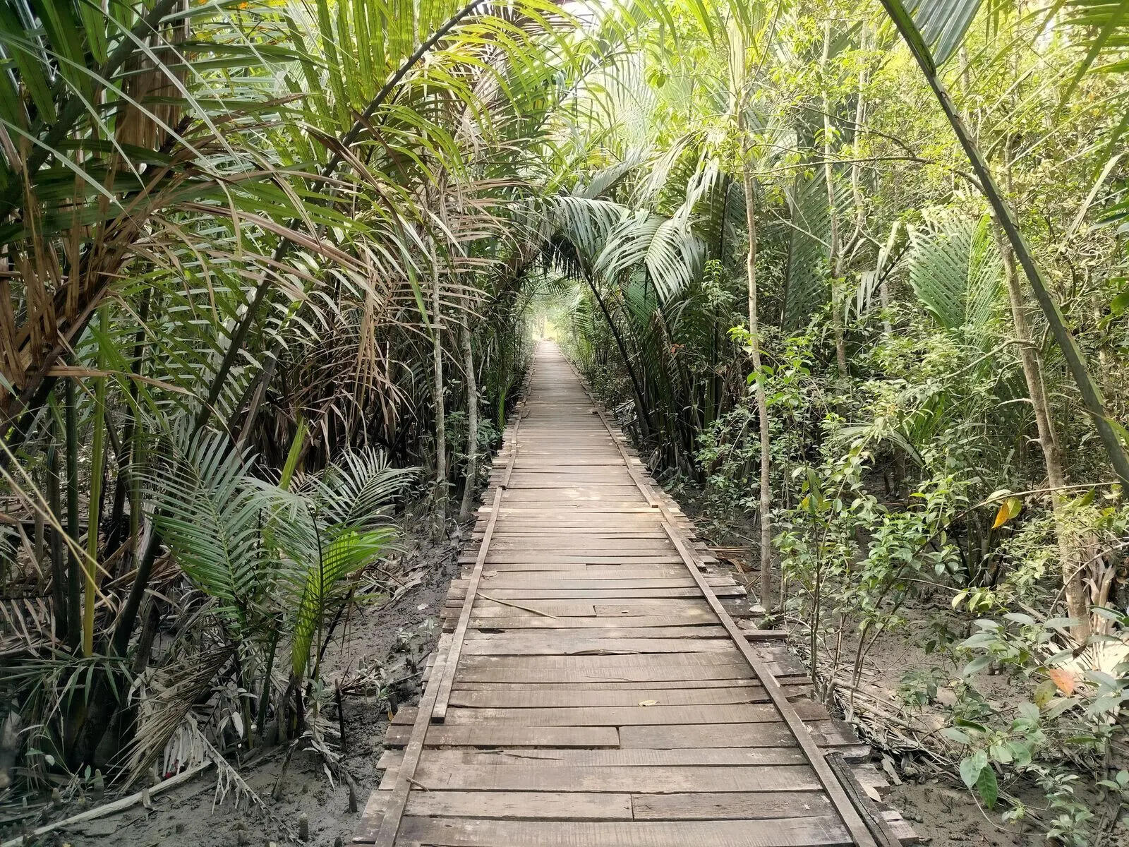 <p>Image credit - PEXELS</p>