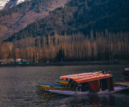 <p>Image credit - PEXELS</p>