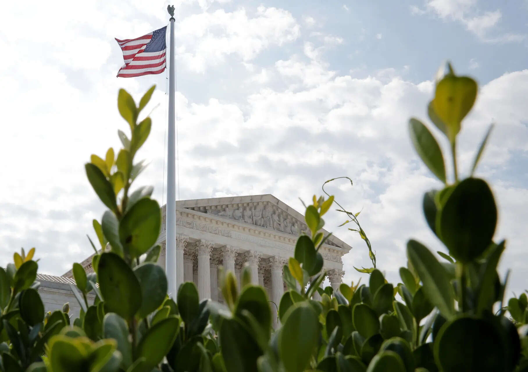 <p>US Supreme Court takes up Pepsi 'Mtn Dew Rise' trademark dispute</p>