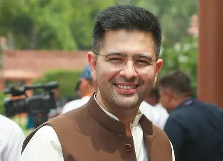 <p>Delhi HC takedown order a step against coordinated online defamation campaign: Raghav Chadha's lawyers</p>