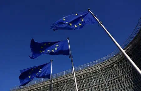 <p>Chinese e-commerce giant JD.com given notice of EU concerns over Ceconomy takeover</p>