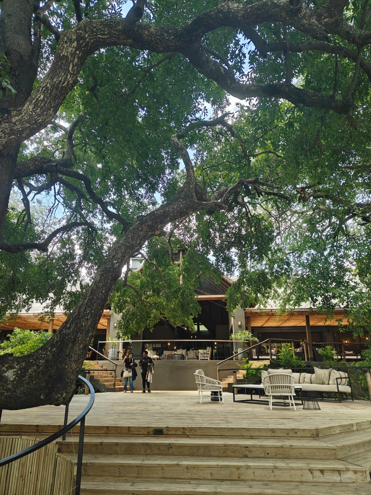 <p>Tinga Lodge's tree-shaded deck and lounge area.</p>