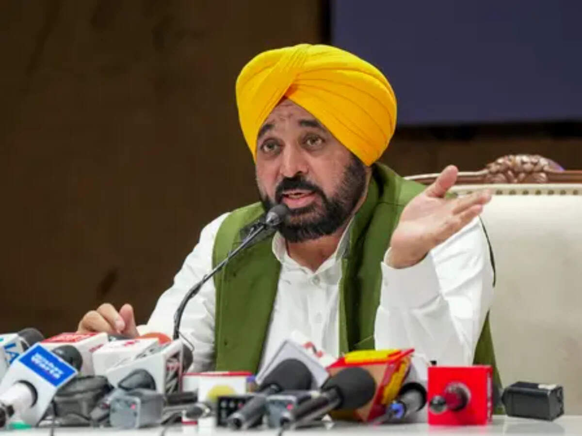 Punjab Chief Minister Bhagwant Singh Mann