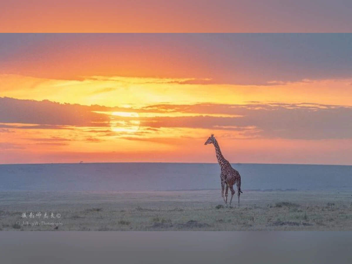 Kenya Visitor Insurance Requirement: Kenya Mandates Visitor Health ...