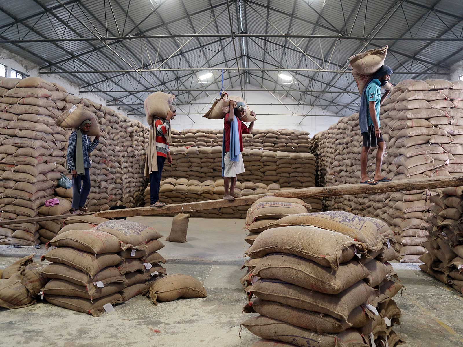 India's Rice Export Earnings Surge by 12.9% Amid Expected Production ...