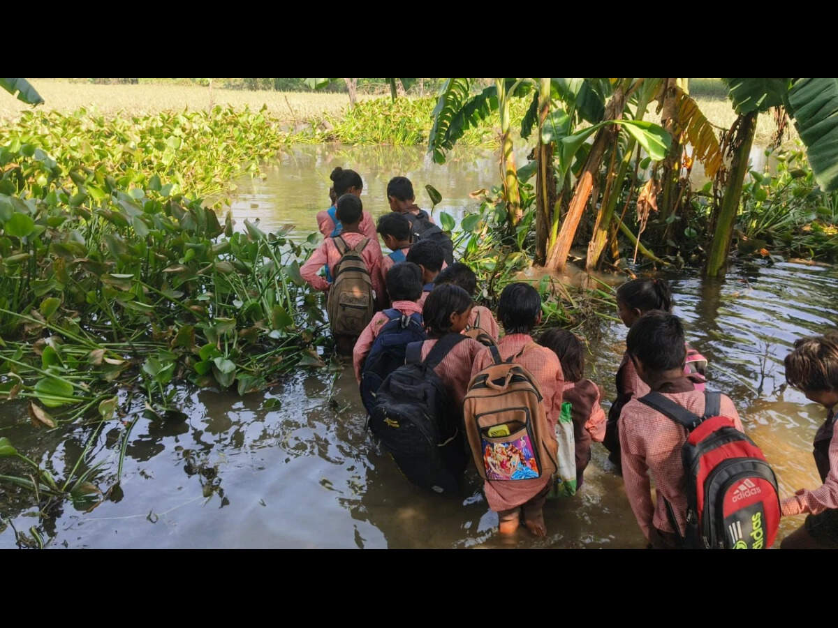 Children going to school in UP