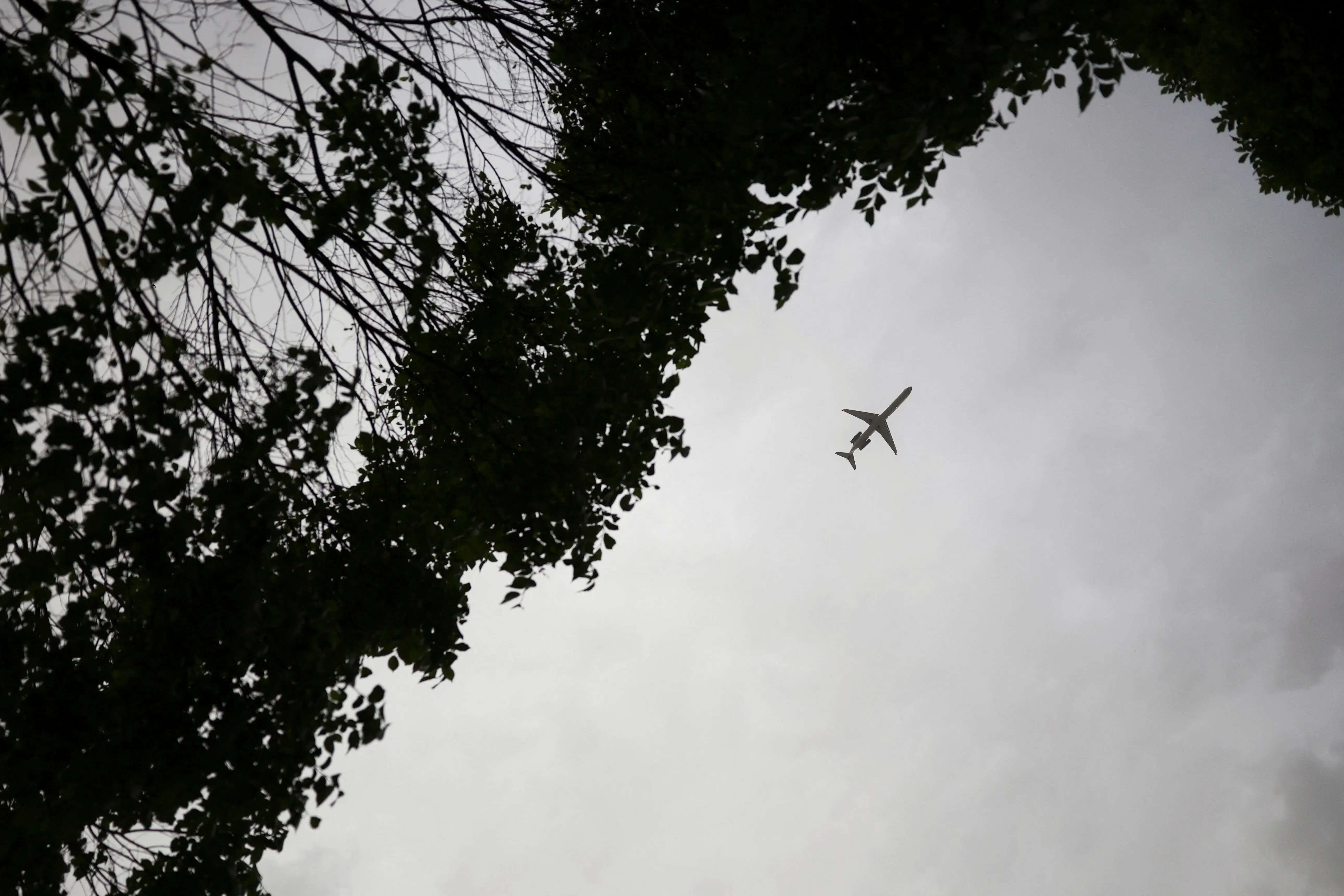 DGCA Bans MOBIKINS MK-PB-04 Power Bank on Indian Flights: Here’s Why ...