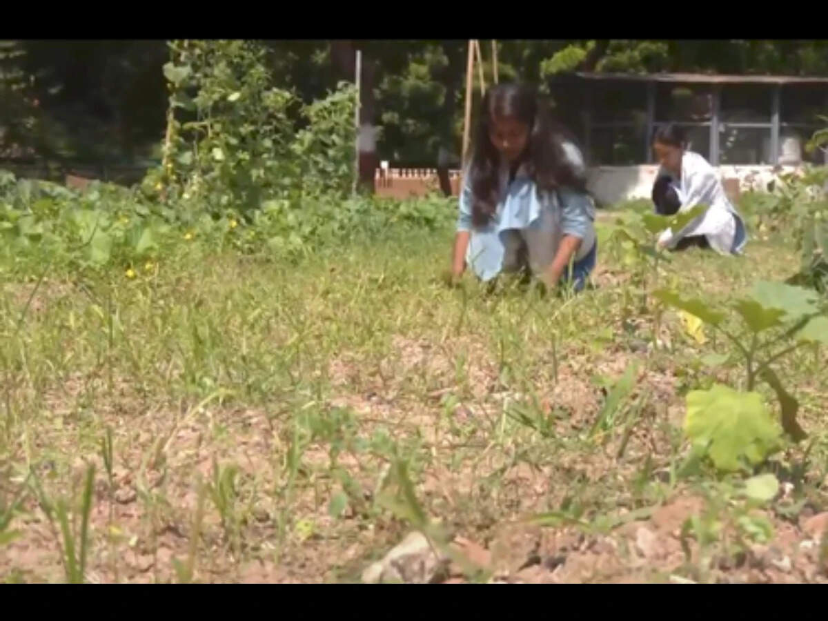 Gujarat Vidyapith trains students in natural farming, teaches preparation of bio-inputs
