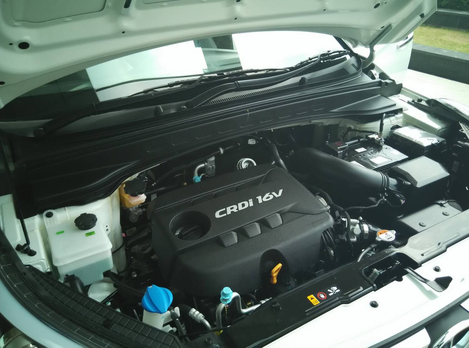 Engine options