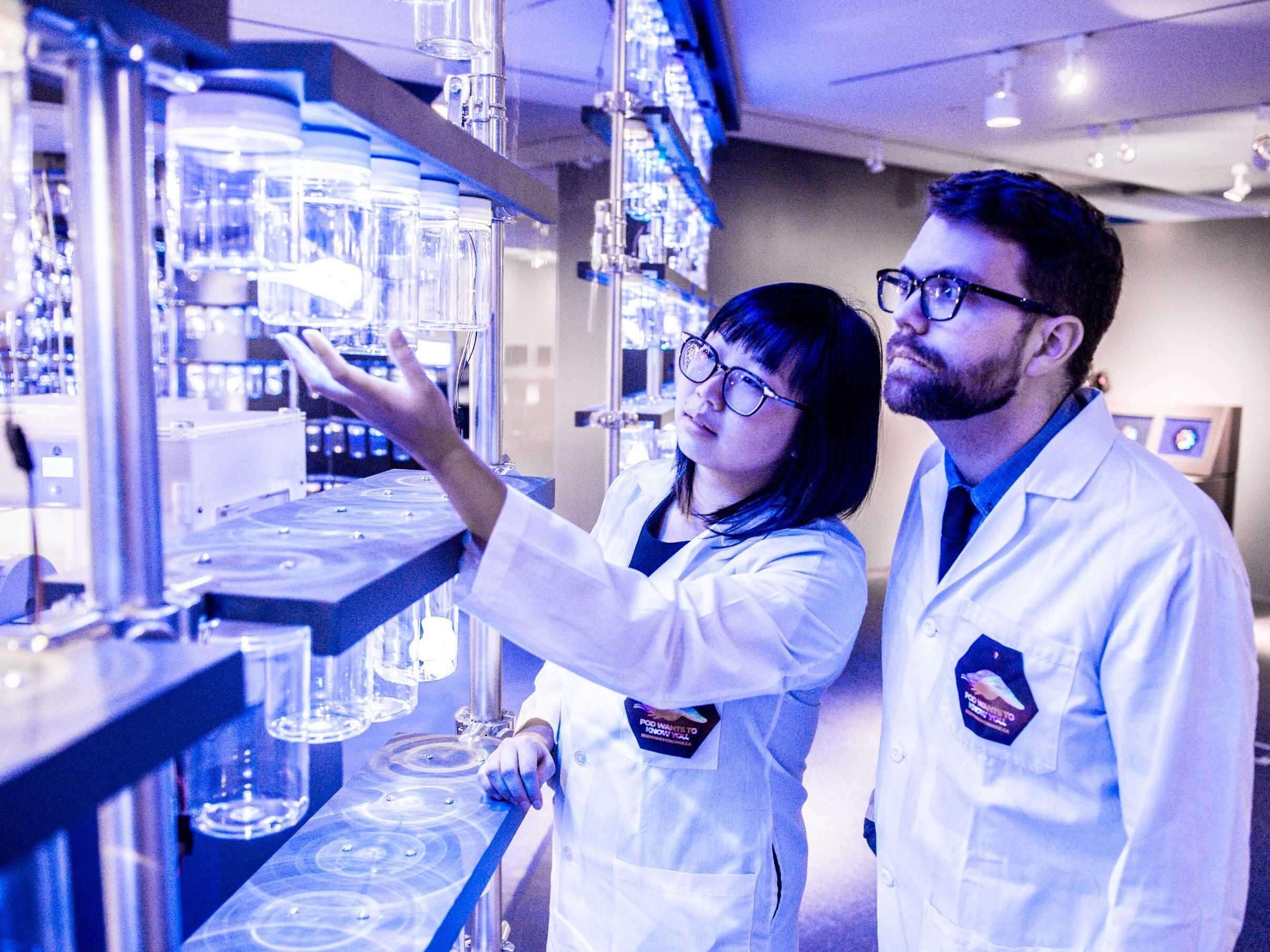 Why It Is Important To Consider A Ketogenic Diet Plan