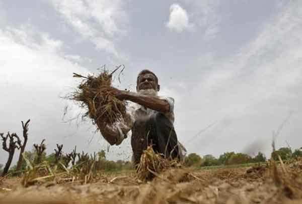 A WhatsApp like app for the tech-savvy farmer