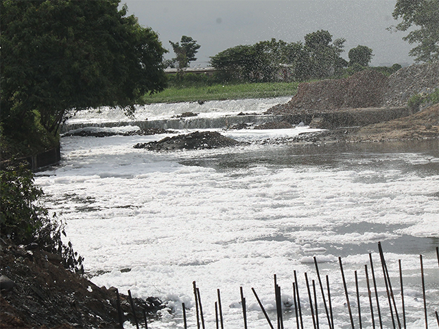 Three firms working on solutions to revive Bengaluru's largest lake near IT corridor