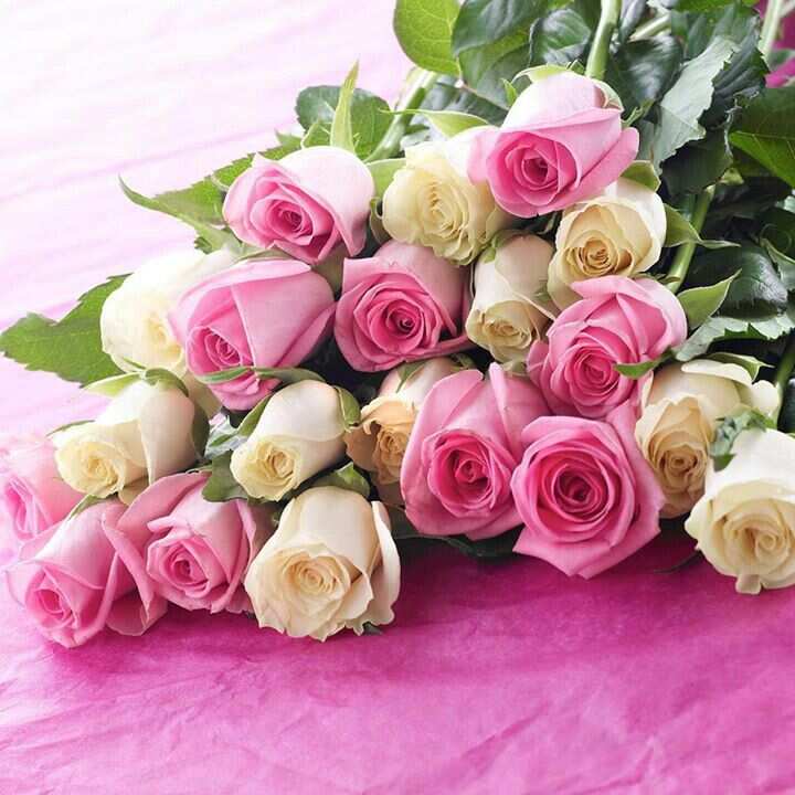 Interflora Flowers From Uk To Australia Best Flower Site