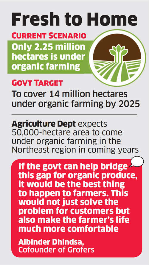 Government may help organic farmers tie up with etailers