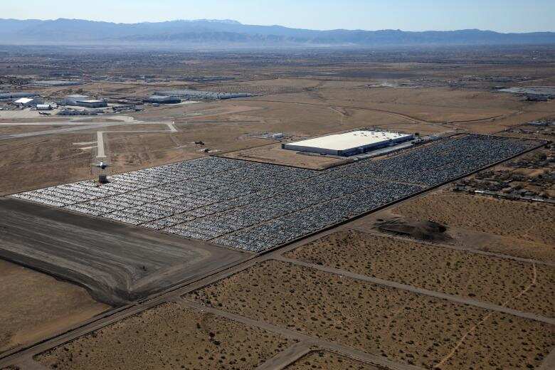 The Aerial View