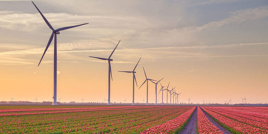 BSES Delhi discoms procure 200 Megawatt wind power at low rate