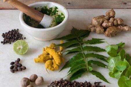 Punarnava Ayurveda to cash in on rise in Russian medical tourists to Kerala