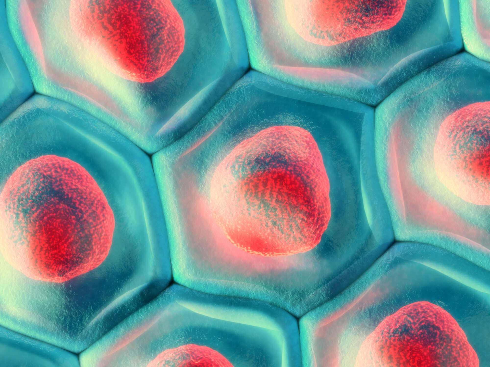 Novel method to generate stem cells developed