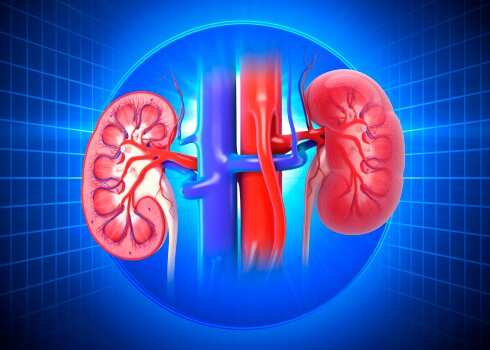 Prolonged use of antacids harms kidneys: Doctors