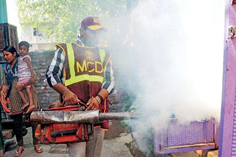 WORRYING SIGNS:  At least 12 cases of dengue have already been reported in the capital till April 7, according to a report released on Monday, indicating an early spread of the disease