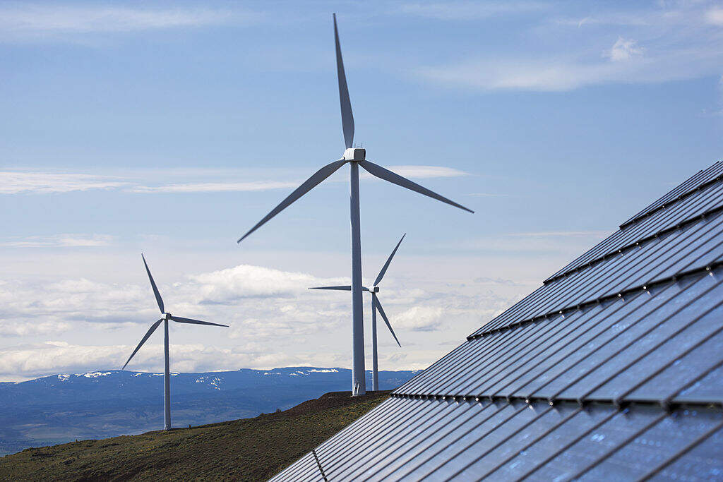 EDP bullish on U.S. renewable power despite Trump's support for coal