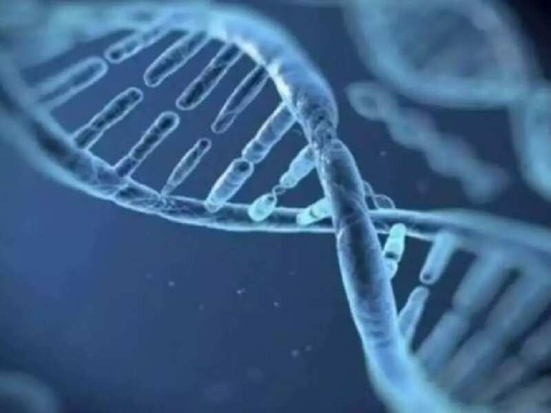 Thalassemia care in India : where do we stand ?