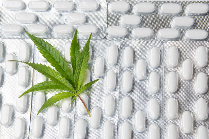 Cancer docs feel unprepared, but recommend marijuana anyway