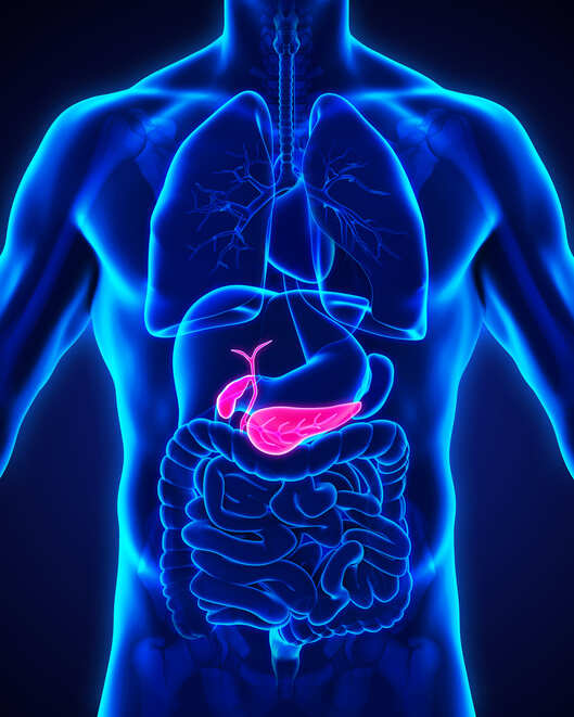 'New blood test could rapidly detect pancreatic cancer'
